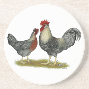 Cream Legbar Chickens Coaster