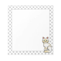 Cream Point Tabby Birman / Ragdoll Cute Cat & Paws