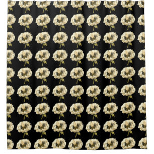 Cream Poppy Flower on Black Background