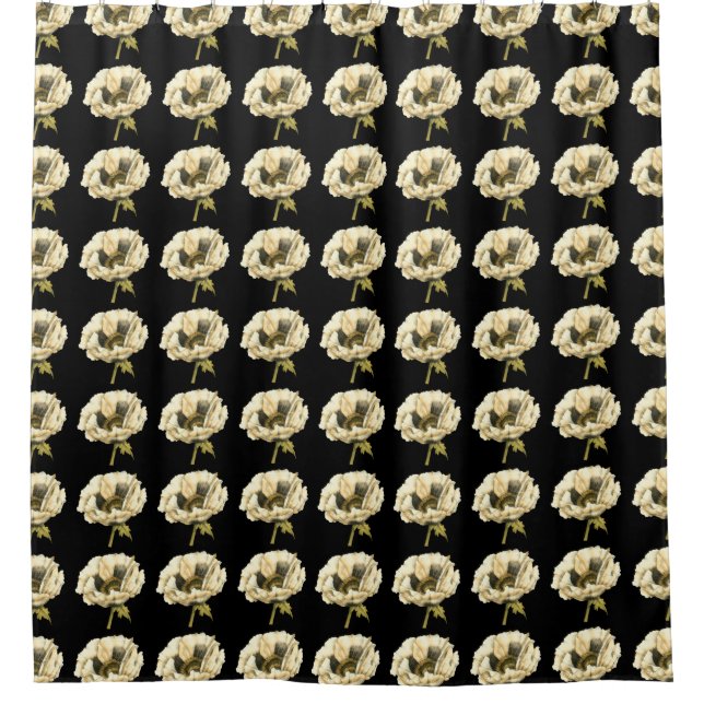 Cream Poppy Flower on Black Background (Front)