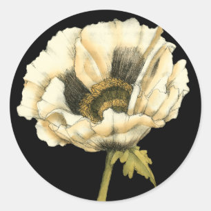 Cream Poppy Flower on Black Background Classic Round Sticker