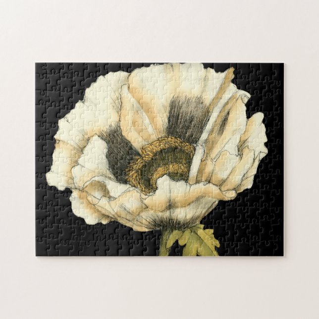 Cream Poppy Flower on Black Background Jigsaw Puzzle (Horizontal)