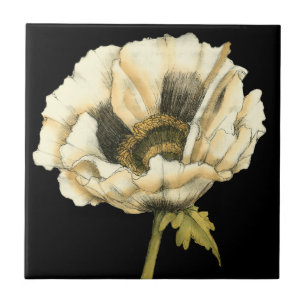Cream Poppy Flower on Black Background Tile