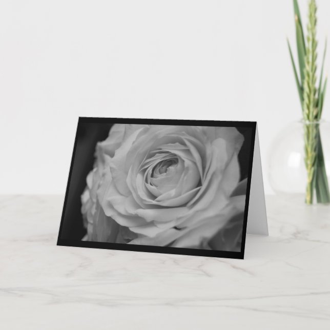 Cream Rose in Black & White Thank You Card (Front)