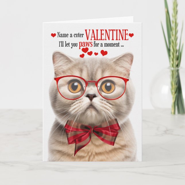 Cream Scottish Fold Cat Humour Valentine's Day Holiday Card (Front)