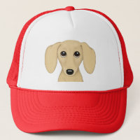 Cream Smooth Coated Dachshund | Cute Wiener Dog