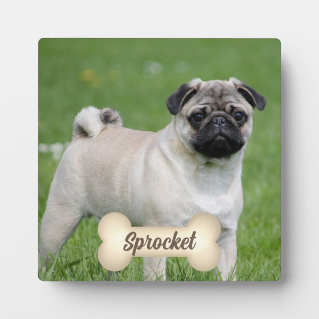 Cream Tone Bone with Pet's Name and Photo Plaque (Front)
