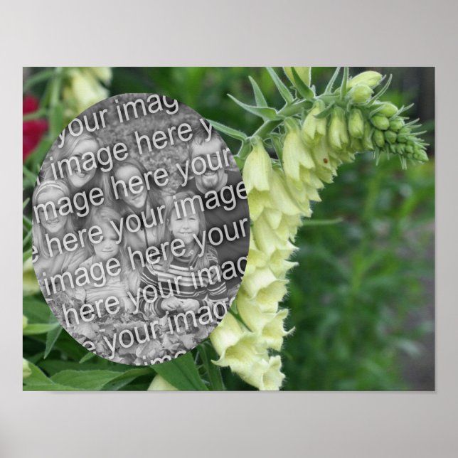 Creamy White Foxglove Flowers Add Your Photo Poster (Front)