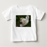 Creamy white magnolia flower bud