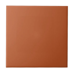 Create a Cozy Warm Atmosphere with Spicy Red-Brown Tile
