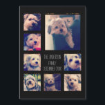 Create a Custom Photo Collage with 8 Photos Magnet<br><div class="desc">Use your favourite photo or pictures to make a fun keepsake to share with friends.</div>