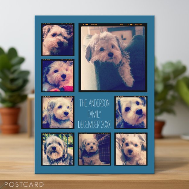 Create a Custom Photo Collage with 8 Photos Postcard (Personalized Photo Postcard)