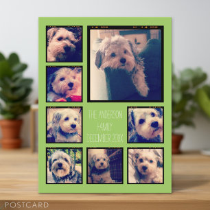 Create a Custom Photo Collage with 8 Photos Postcard