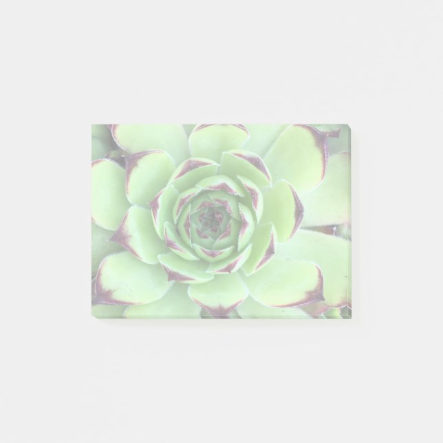 Create a Lightened Photo Post-it Notes (Front)