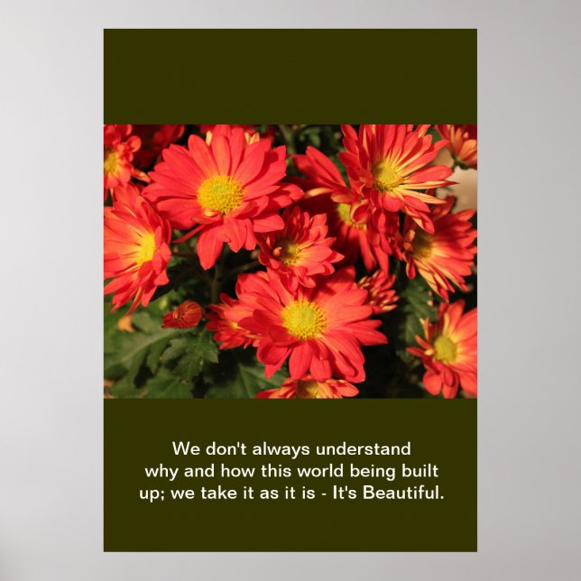 Create you own nature photography poster (Front)