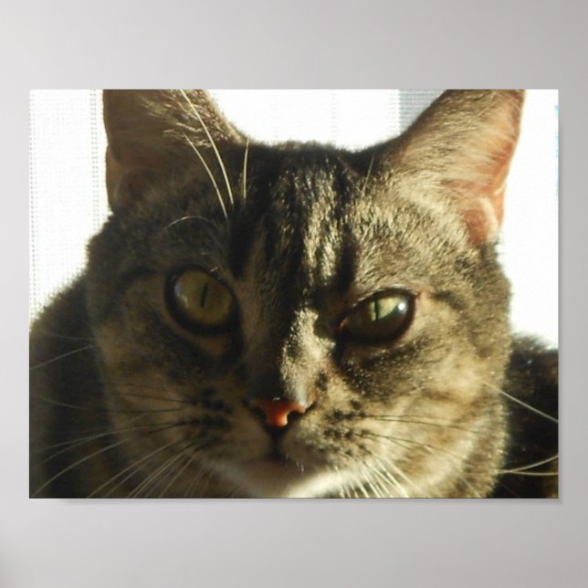 Create Your Own 11" x 8.5" Poster (Front)