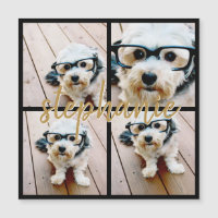 Create Your Own 4 Photo Collage - Script Name