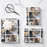 Create Your Own 5 Photo Collage White Border