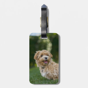 Create Your Own Add Photo Custom Luggage Tag