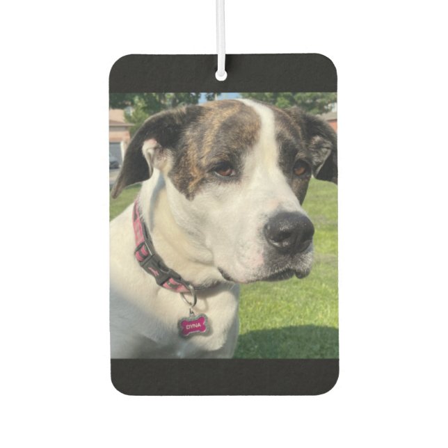 Create Your Own Air Freshener (Front)