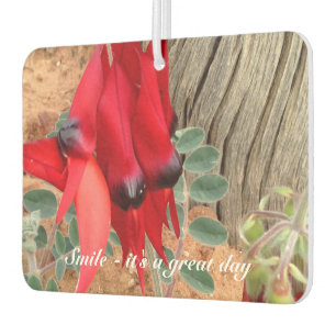 Create your own air freshener