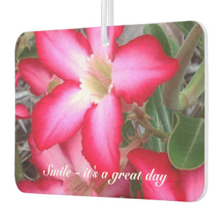 Create your own air freshener