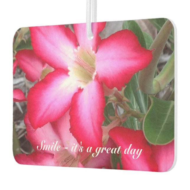 Create your own air freshener (Left)