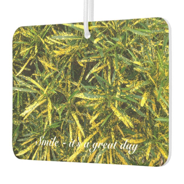 Create your own air freshener (Left)