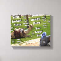 Create Your Own Amazing Image Template