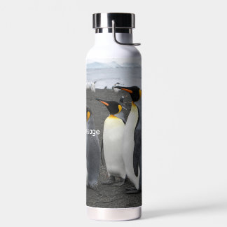 Create Your Own Antarctic Wildlife Insulated Bottl Water Bottle