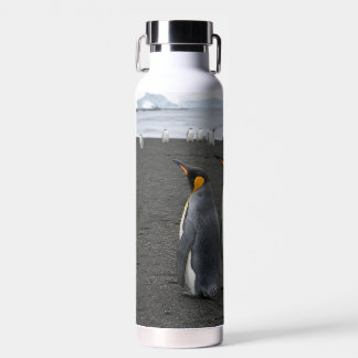 Create Your Own Antarctic Wildlife Insulated Water Bottle