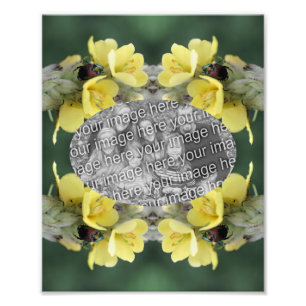 Create Your Own Beetle Mullein Flower Frame 8x10 Photo Print