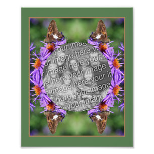 Create Your Own Butterfly On Aster Flower Frame Photo Print