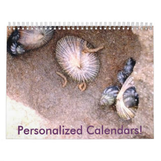 Create Your Own Calendar