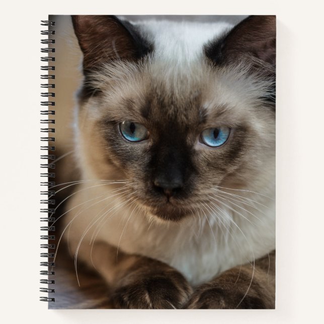 Create Your Own Cat Pet Personalized Photo Notebook (Front)