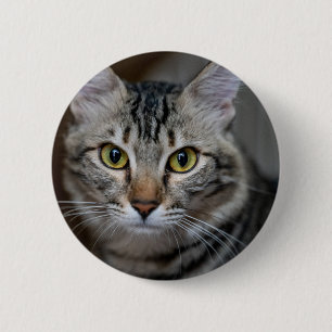 Create Your Own Cat Pet Photo Custom Picture 2 Inch Round Button