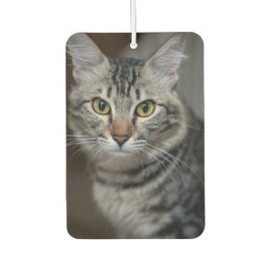 Create Your Own Cat Pet Photo Custom Picture Air Freshener