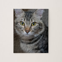 Create Your Own Cat Pet Photo Custom Picture