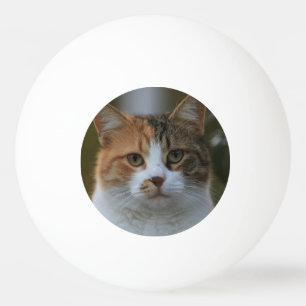 Create Your Own Cat Pet Photo Custom Picture Ping Pong Ball