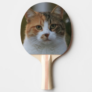 Create Your Own Cat Pet Photo Custom Picture Ping Pong Paddle