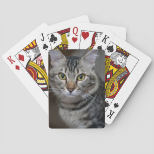 Create Your Own Cat Pet Photo Custom Picture Playing Cards