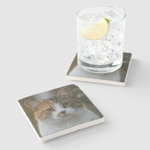Create Your Own Cat Pet Photo Custom Picture Stone Coaster