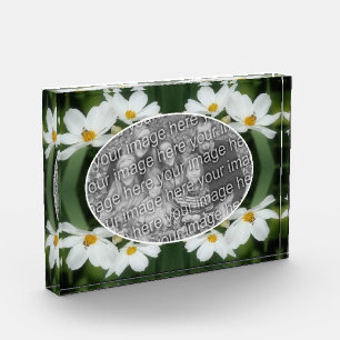 Create Your Own Cosmos Flowers And Bee  Photo Block