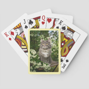 Create Your Own Cream Border Photo Playing Cards