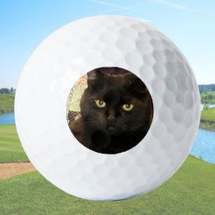 Create Your Own Custom Cat Pet Photo Golf Balls