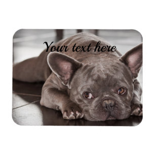 Create Your Own Custom Pet Dog Refrigerator Magnet