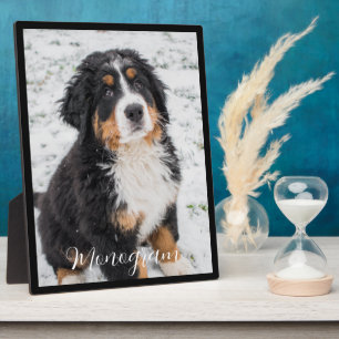 Create Your Own   Custom Pet Photo Plaque