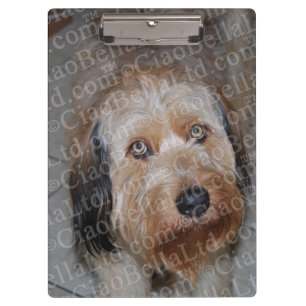 Create Your Own Custom Photo Clipboard