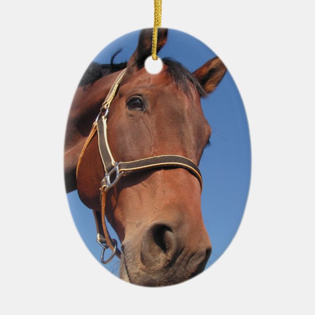 Create Your Own Custom Photo Gift Ceramic Ornament (Front)