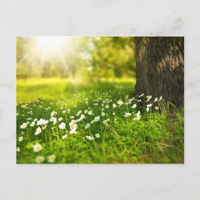 Create Your Own Custom Photo Personalized Postcard (Front)